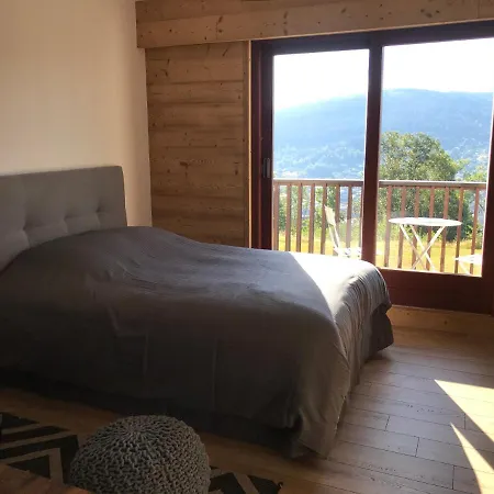 Studio - Le Sapin Apartment Gerardmer